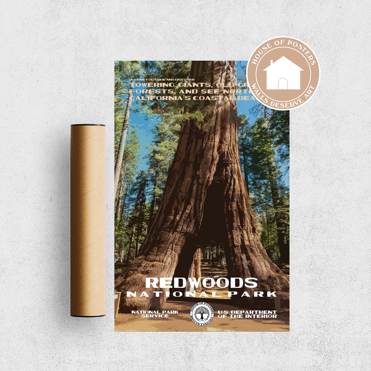 Redwoods National Park