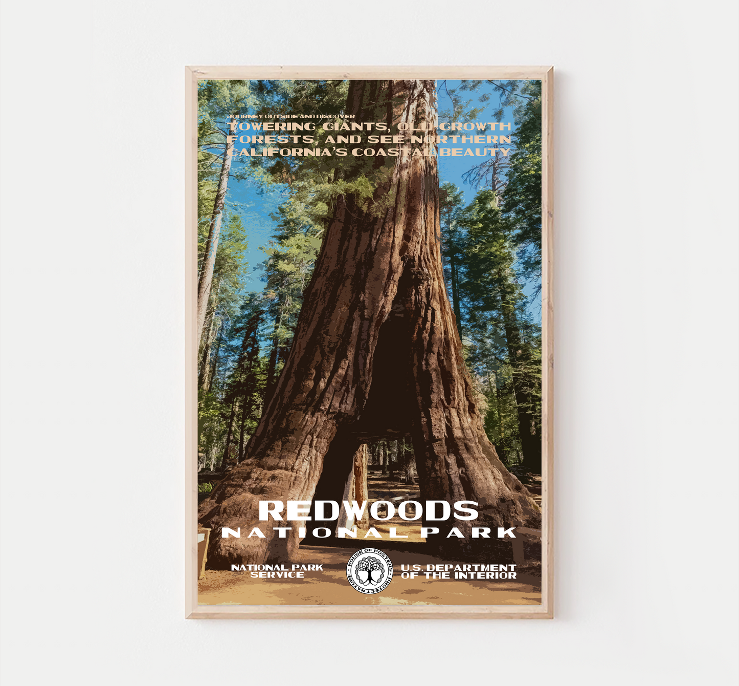 Redwoods National Park