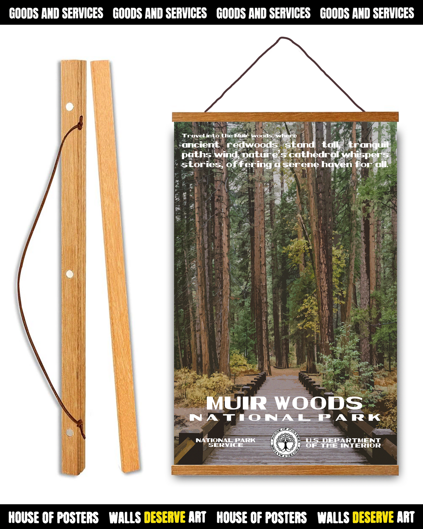 Muir Woods National Park