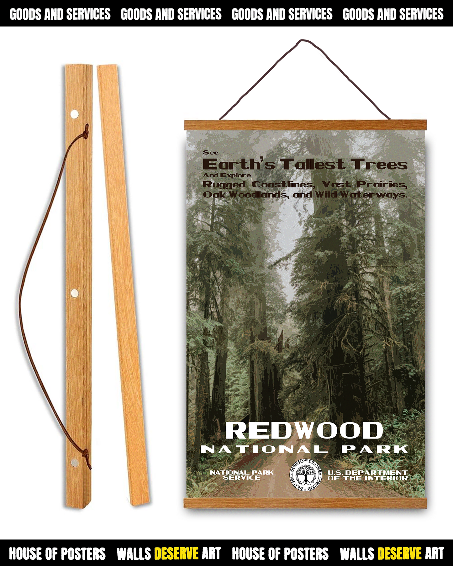 Redwood National Park