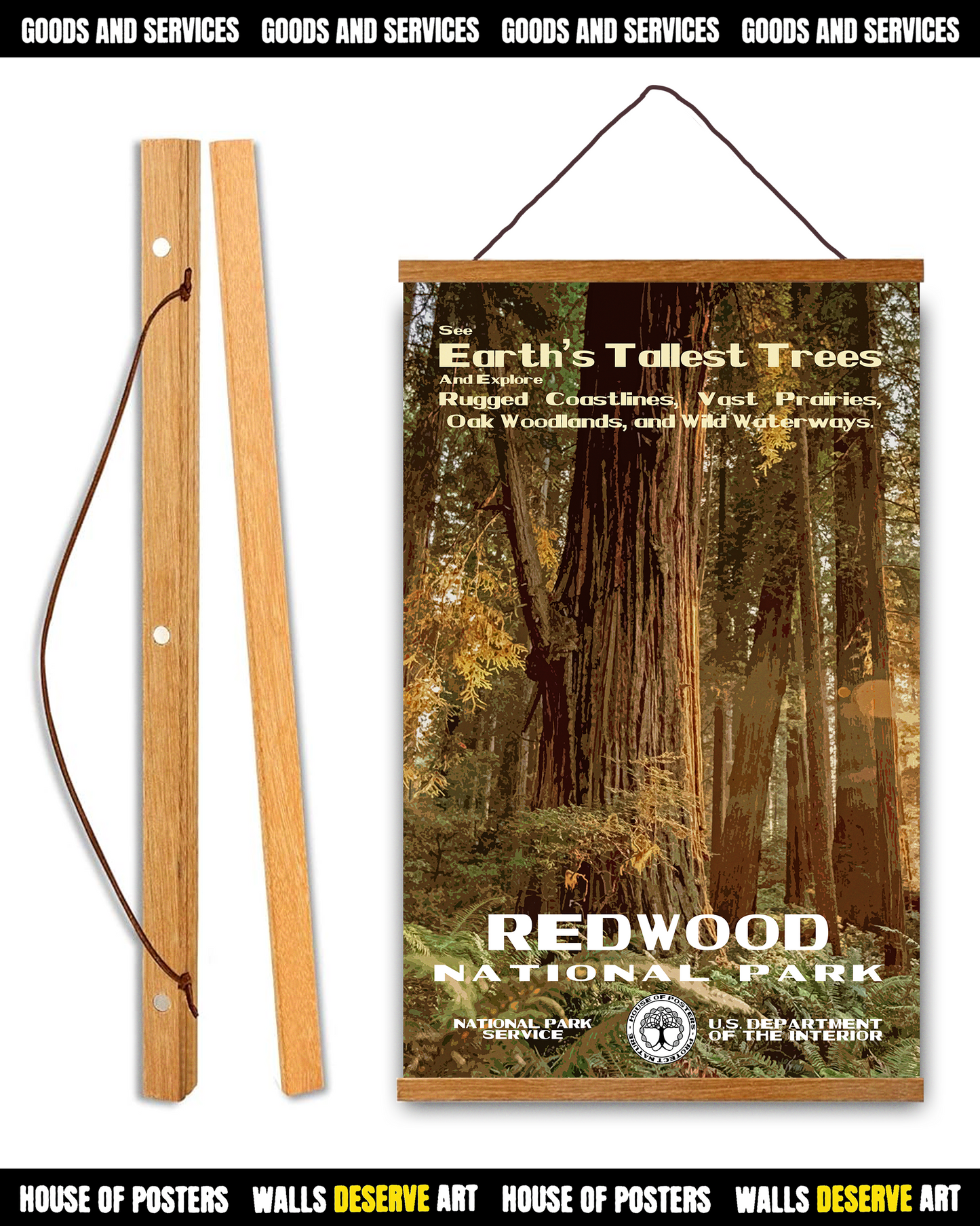 Redwood National Park