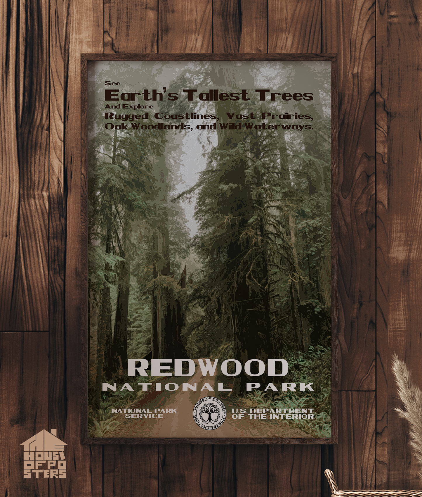 Redwood National Park