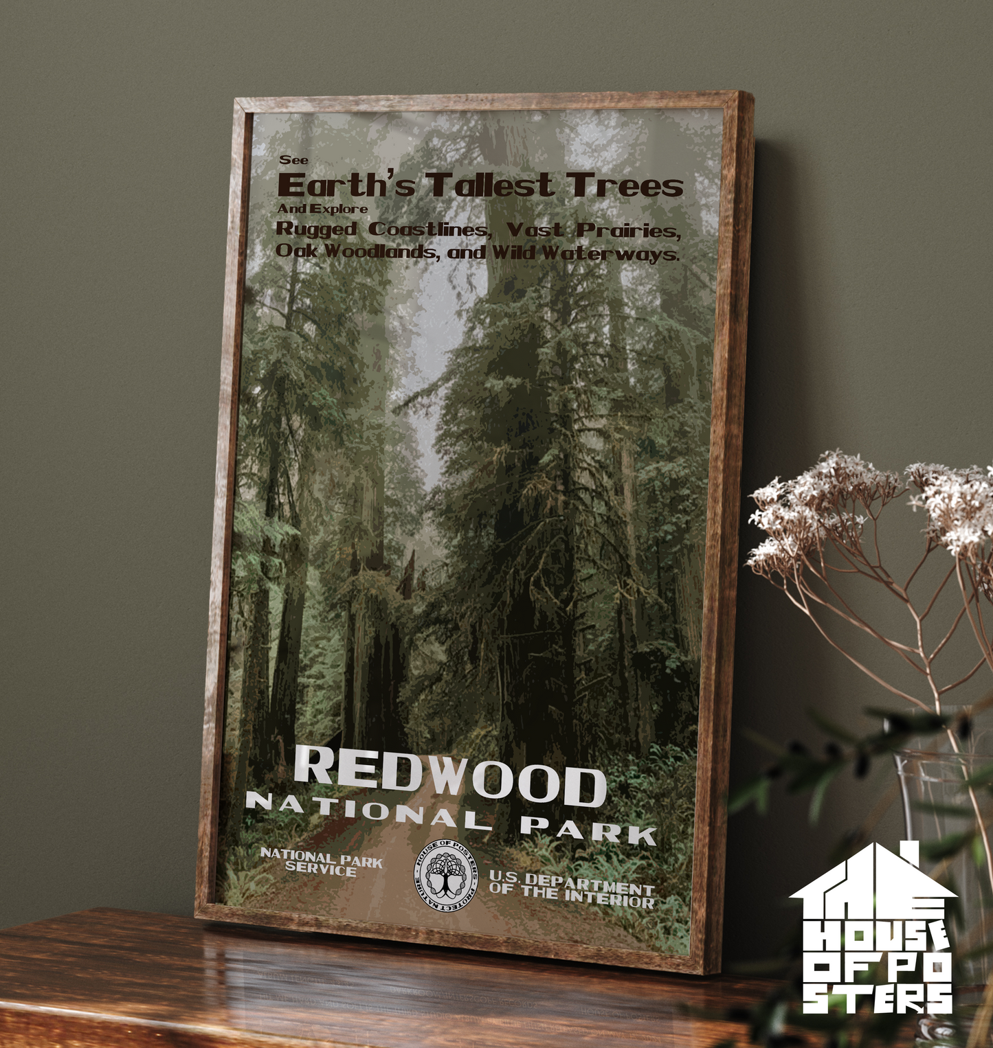 Redwood National Park