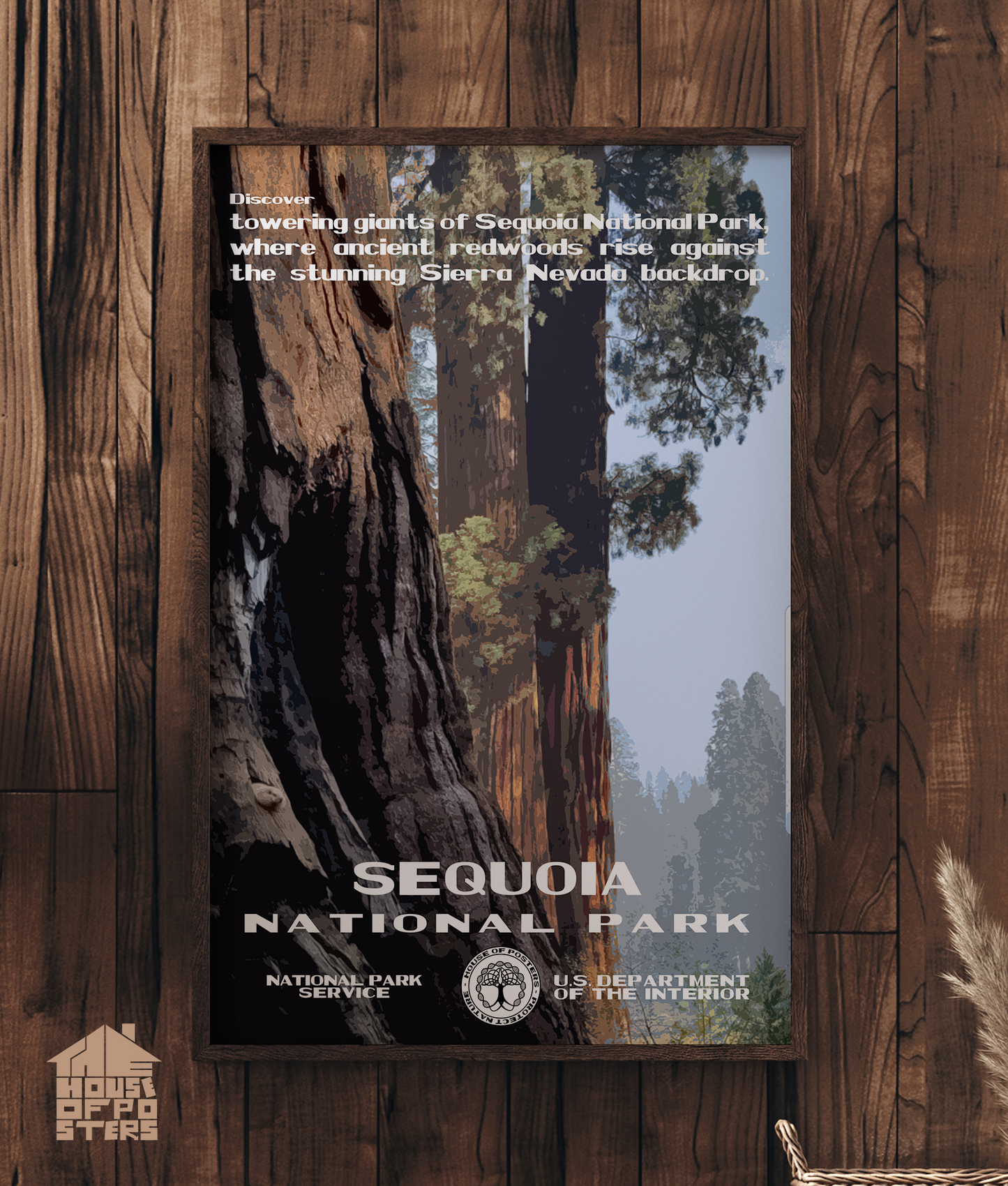 Sequoia National Park