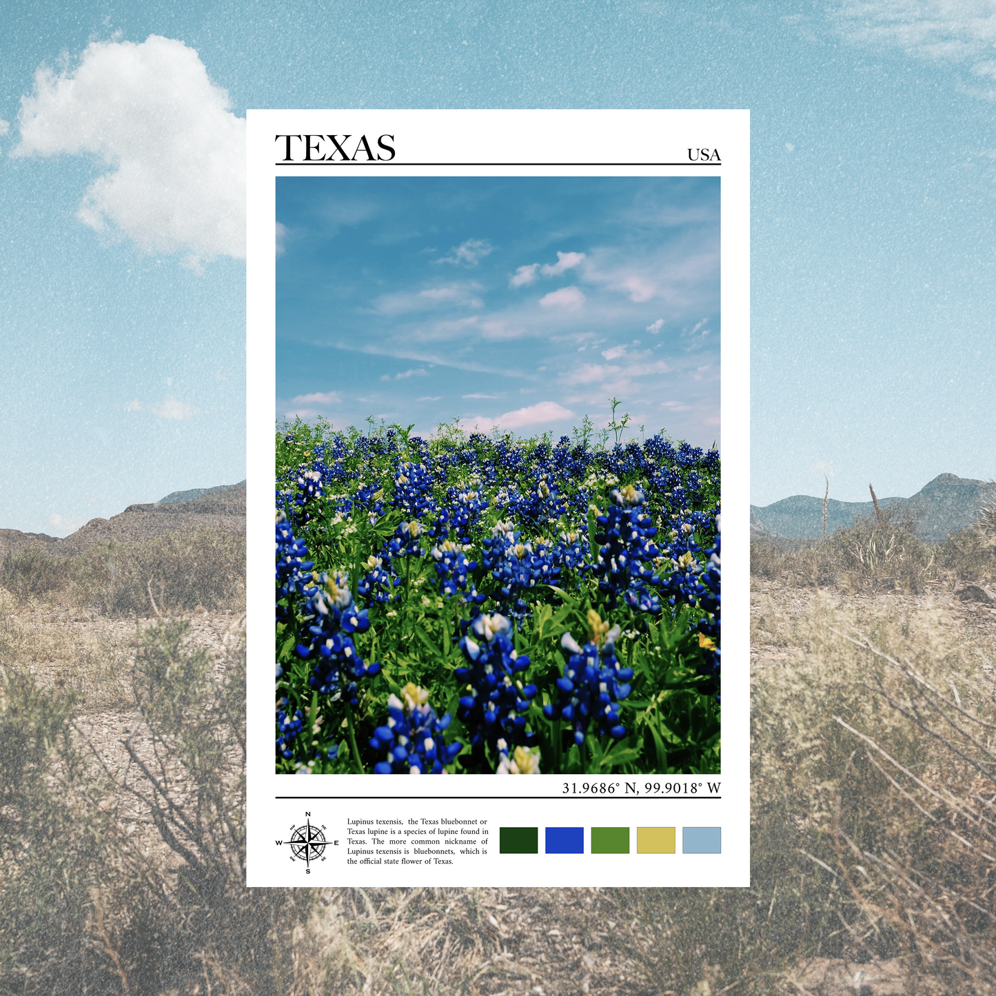 Texas