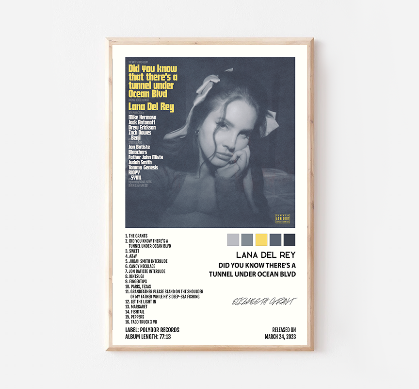 Lana Del Rey- Did You Know