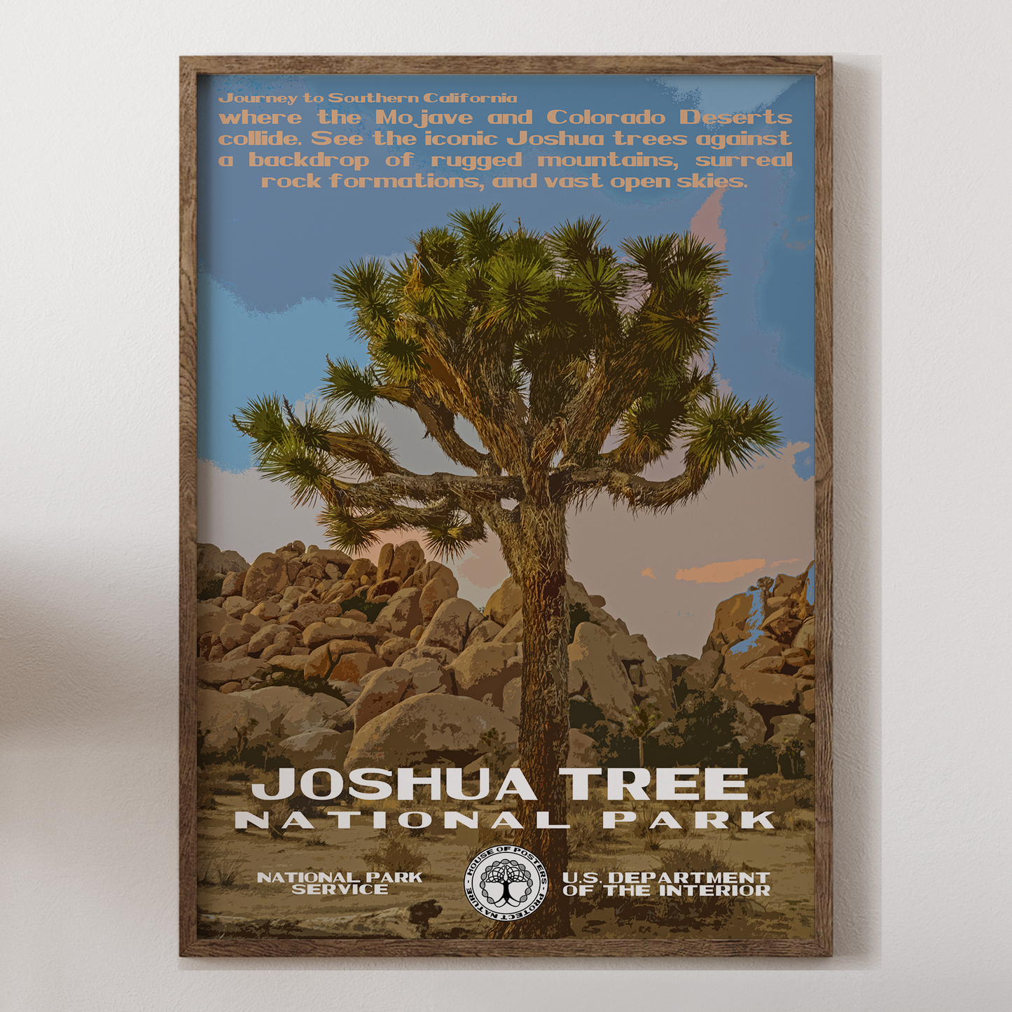 Joshua Tree National Park