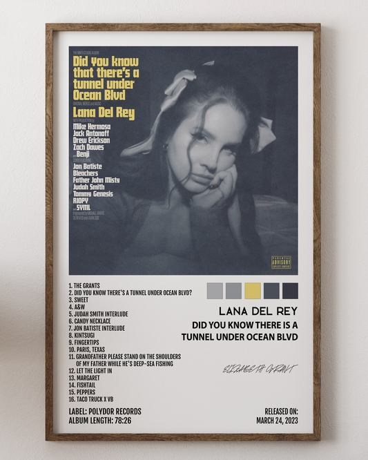 Lana Del Rey- Did You Know