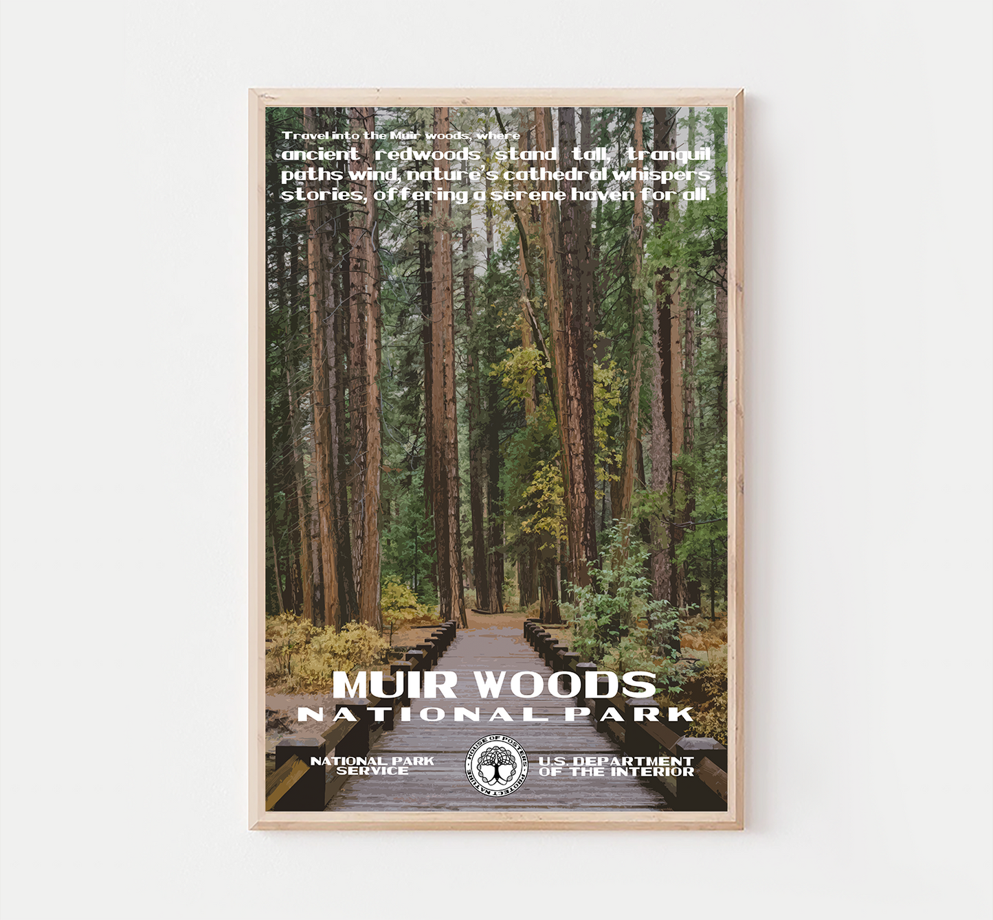 Muir Woods National Park