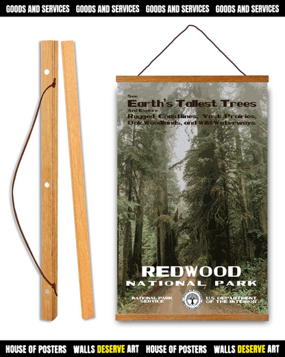 Redwood National Park