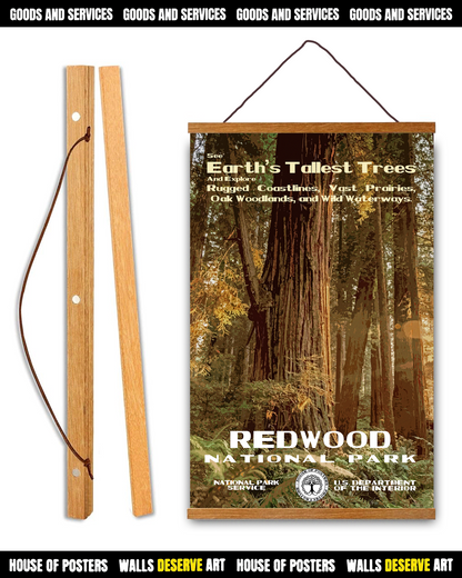 Redwood National Park