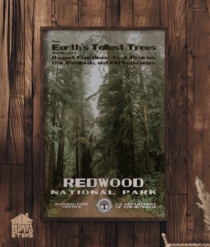 Redwood National Park