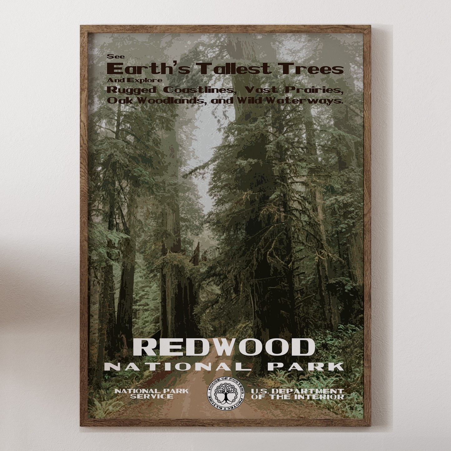 Redwood National Park