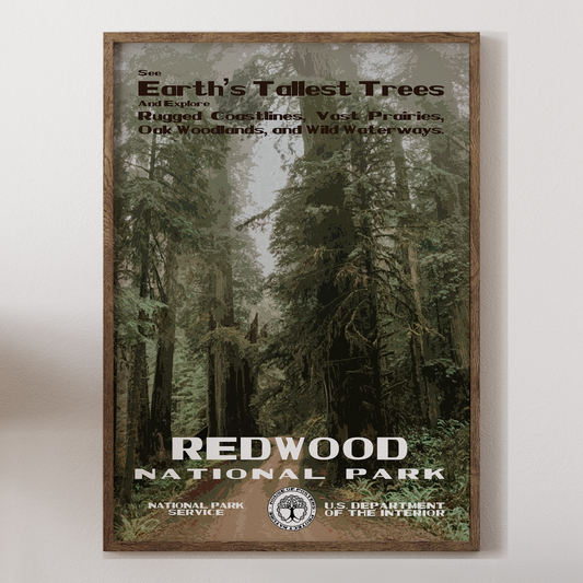 Redwood National Park