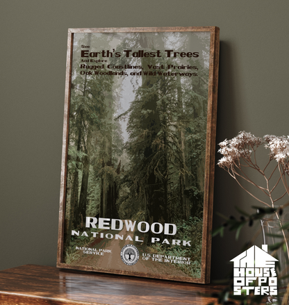 Redwood National Park