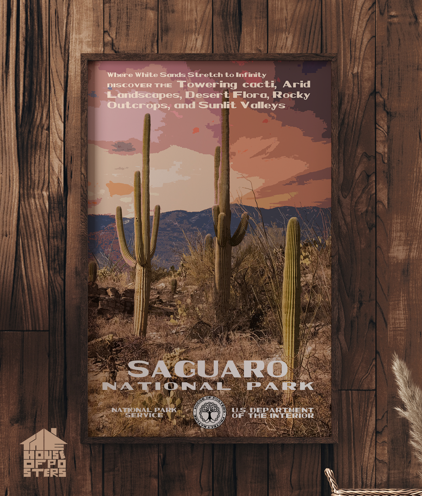 Saguaro National Park